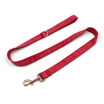 Personalized PETDURO Dog Collar with Engraved Buckle