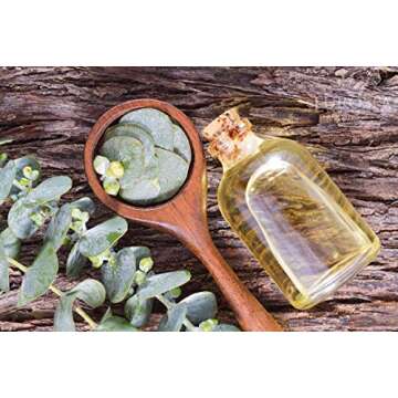 EuroSpa Aromatics Eucalyptus Oil ShowerMist, 2oz, 2 Pack