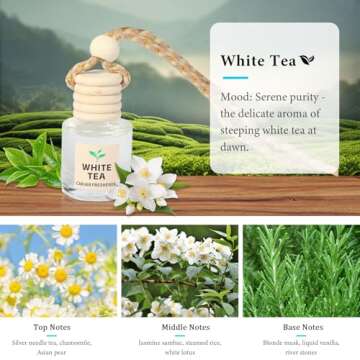 Long Lasting Essential Oil Car Air Freshener Diffuser