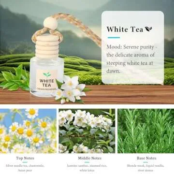 Long Lasting Essential Oil Car Air Freshener Diffuser