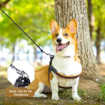 No-Pull Dog Harness- Adjustable, Comfortable Pet Halter Harness,No Choke Pets Padded Mesh Pet Vest Straps, Walk, Train Puppy,Dog Harnesses for Medium Large Dog,Orange,M