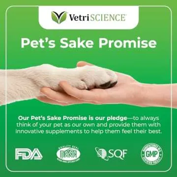 VetriScience Dental Chews for Dogs: Fresh Breath & Care