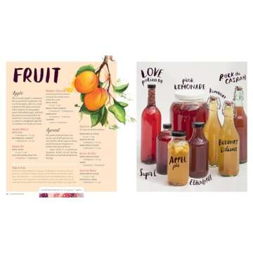 The Big Book of Kombucha: Brewing, Flavoring, and Enjoying the Health Benefits of Fermented Tea