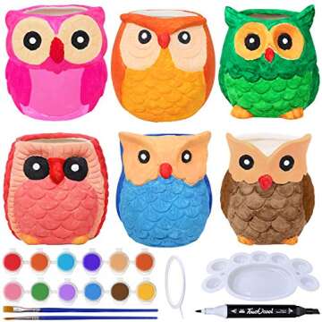 6 Sets DIY Ceramic Owl Succulent Pots Figurines Paint Craft Kit Unpainted Ceramic Bisque Paintable O...