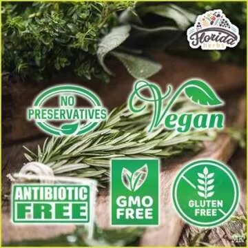 Angelica Tincture, Organic Angelica Extract (Angelica archangelica) Dried Root Herbal Supplement, Non-GMO in Cold-Pressed Organic Vegetable Glycerin, 700 mg, 2 oz (60 ml)