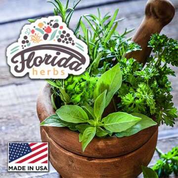 Angelica Tincture, Organic Angelica Extract (Angelica archangelica) Dried Root Herbal Supplement, Non-GMO in Cold-Pressed Organic Vegetable Glycerin, 700 mg, 2 oz (60 ml)