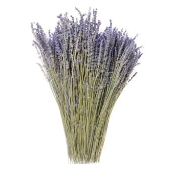 Natural Dried Lavender Flowers for Home Fragrance and Decor