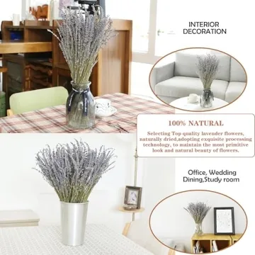 Natural Dried Lavender Flowers for Home Fragrance and Decor