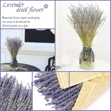Natural Dried Lavender Flowers for Home Fragrance and Decor