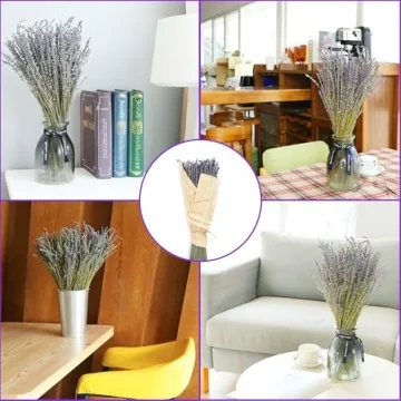 Natural Dried Lavender Flowers for Home Fragrance and Decor