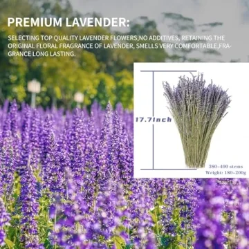 Natural Dried Lavender Flowers for Home Fragrance and Decor