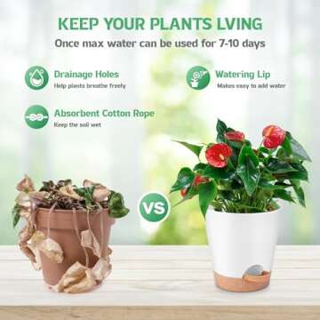 Plant Pots Indoor 8/7/6.5/6/5.5/5 Inch, Self Watering Pots for Indoor Plants, Self Watering Planters...