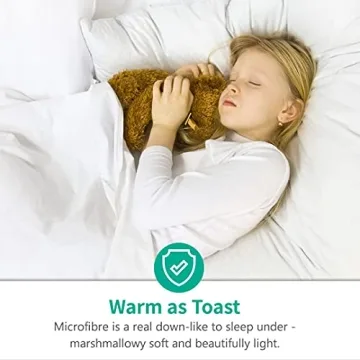 APSMILE Queen Comforter Ultra-Soft All-Season Down Alternative