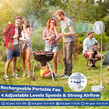 Portable Oscillating Fan with Remote and Light