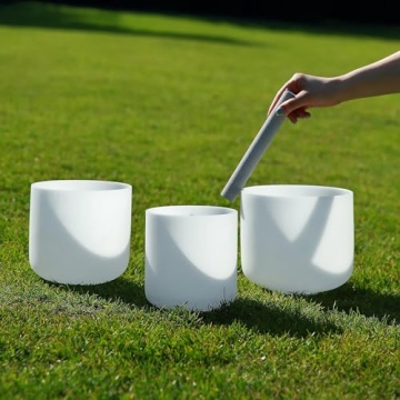 Alioth Set of 3 Crystal Singing Bowls with Carrying Case