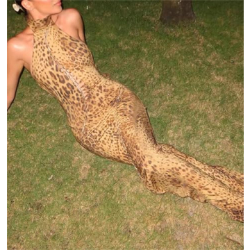 Stylish QNI Leopard Print Maxi Dress for Summer Events