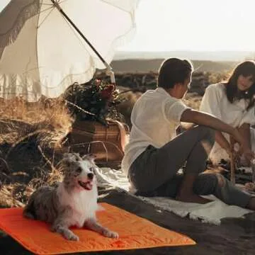 Extra Large Waterproof Dog Bed for Camping and Travel