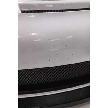 P&S Bug Off Insect Remover - Safe & Effective Bug Cleaner