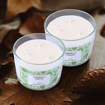 Large Lemongrass Candle 14 oz - Eco-friendly Gift for Women