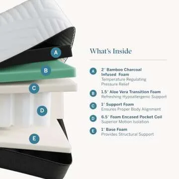 LUCID 12 Inch Hybrid Memory Foam Infused with Bamboo Charcoal and Aloe Vera-Encased Spring Support-Medium Plush Feel-Motion Isolation Mattress, Queen, White/Black