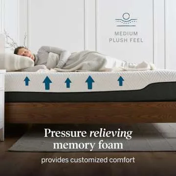 LUCID 12 Inch Hybrid Memory Foam Infused with Bamboo Charcoal and Aloe Vera-Encased Spring Support-Medium Plush Feel-Motion Isolation Mattress, Queen, White/Black