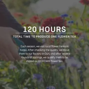 KKOKDAM Flower Tea Stick Sampler - Loose Leaf Tea, Fancy Tea Variety Pack Tea Set, Blooming Tea Flowers, Unique Tea Gifts, Loose Leaf Teas - 8 Count