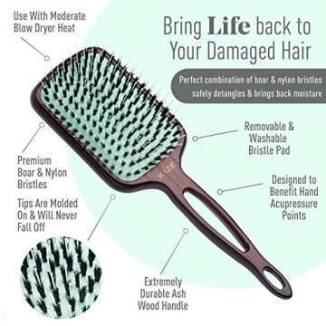 Eco-Friendly Boar Bristle Paddle Hair Brush for Women by MINT | Anti-Breakage Detangling Brush Great for Color-Treated Hair, Extensions and All Hair Types | Hand-Crafted Wooden Handle