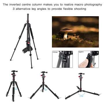 ZOMEI M5 Camera Tripod: Lightweight & Portable Monopod for All Cameras