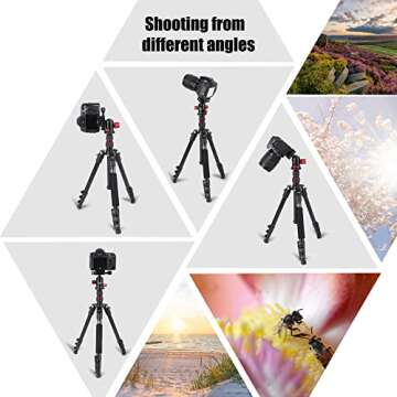 ZOMEI M5 Lightweight Compact Camera Tripod Monopod