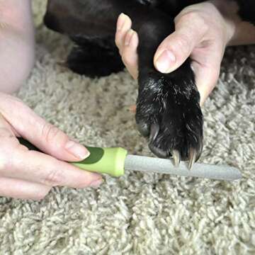 Coastal Pet Diamond Nail File for Dogs - Smooth and Safe