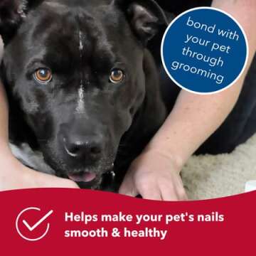 Coastal Pet Diamond Nail File for Dogs - Smooth and Safe