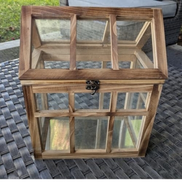 Orchid & Ivy Large Wood & Glass Terrarium for Plants