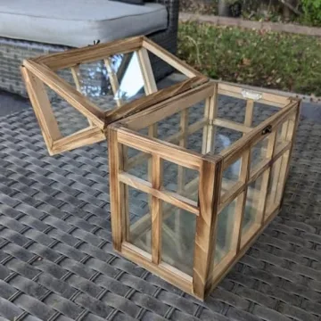 Orchid & Ivy Large Wood & Glass Terrarium for Plants