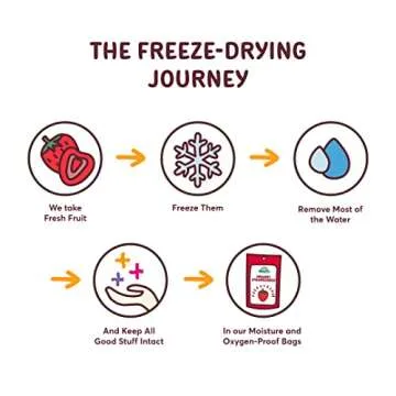 Organic Freeze-Dried Raspberries | Vegan & Non-GMO Snack