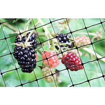 Bird-X Standard Bird Netting, Ideal for Gardens and Lightweight Applications, UV-Stabilized Mesh Netting with 3/4" Hole Opening, Easy to Install, 100' x 14'