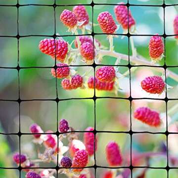 Bird-X Standard Bird Netting, Ideal for Gardens and Lightweight Applications, UV-Stabilized Mesh Netting with 3/4" Hole Opening, Easy to Install, 100' x 14'