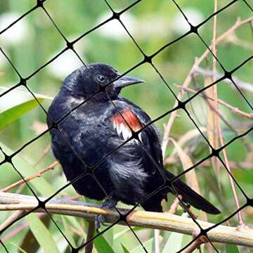 Bird-X Standard Bird Netting, Ideal for Gardens and Lightweight Applications, UV-Stabilized Mesh Netting with 3/4" Hole Opening, Easy to Install, 100' x 14'