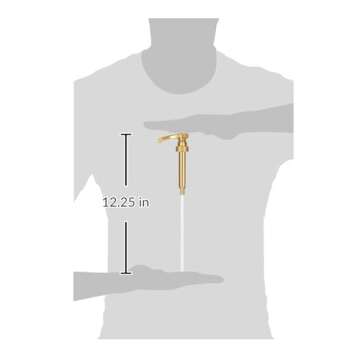 Torani Butter Pecan Syrup