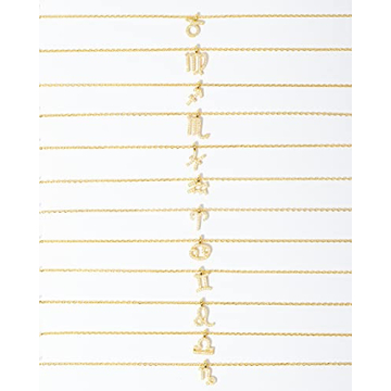 14K Gold Plated Aquarius Astrology Necklace Gifts