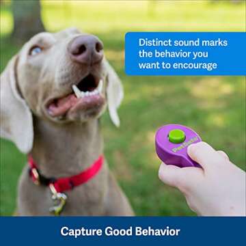 PetSafe Clik-R Dog Training Clicker - Positive Behavior Reinforcer for Pets - All Ages, Puppy and Ad...
