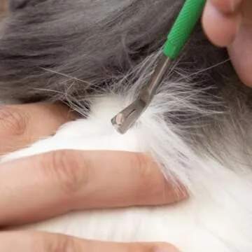 TickCheck Premium Tick Remover Kit for Safe Pet Care