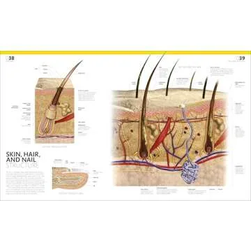 The Complete Human Body Visual Guide for All Ages