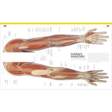 The Complete Human Body Visual Guide for All Ages
