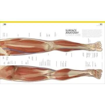 The Complete Human Body Visual Guide for All Ages