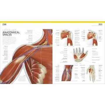 The Complete Human Body Visual Guide for All Ages