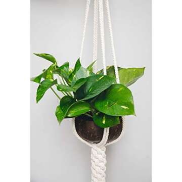 100% Natural Jumbo Coconut Bowl Unique Gift Set. Eco-Friendly Vegan Organic Non-Toxic Reusable Sustainable Smoothie Açai Buddha Kitchen Bowl (Set of 2 Polished Hand-Crafted Handmade Bowls/2 Chopstick)