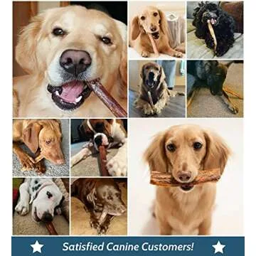 5" Straight Bully Sticks for Dogs or Puppies (10 Pack) All Natural & Odorless Bully Bones | Grass-Fed Beef | Medium Thickness Long Lasting Dog Chew Dental Pizzle Treats | Best Thick Bullie Stix