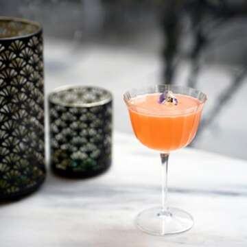 Elegant Luigi Bormioli Bach Cocktail Glasses - Set of 4