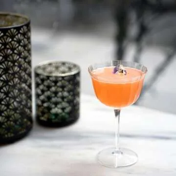 Elegant Luigi Bormioli Bach Cocktail Glasses - Set of 4