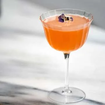 Elegant Luigi Bormioli Bach Cocktail Glasses - Set of 4